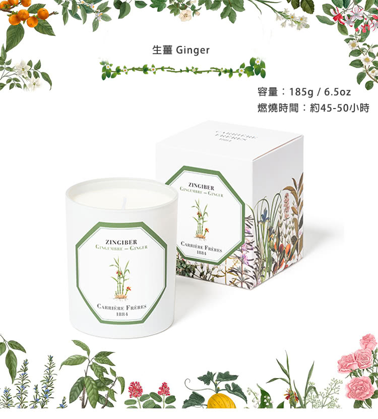 燃燒時間約4550小時 