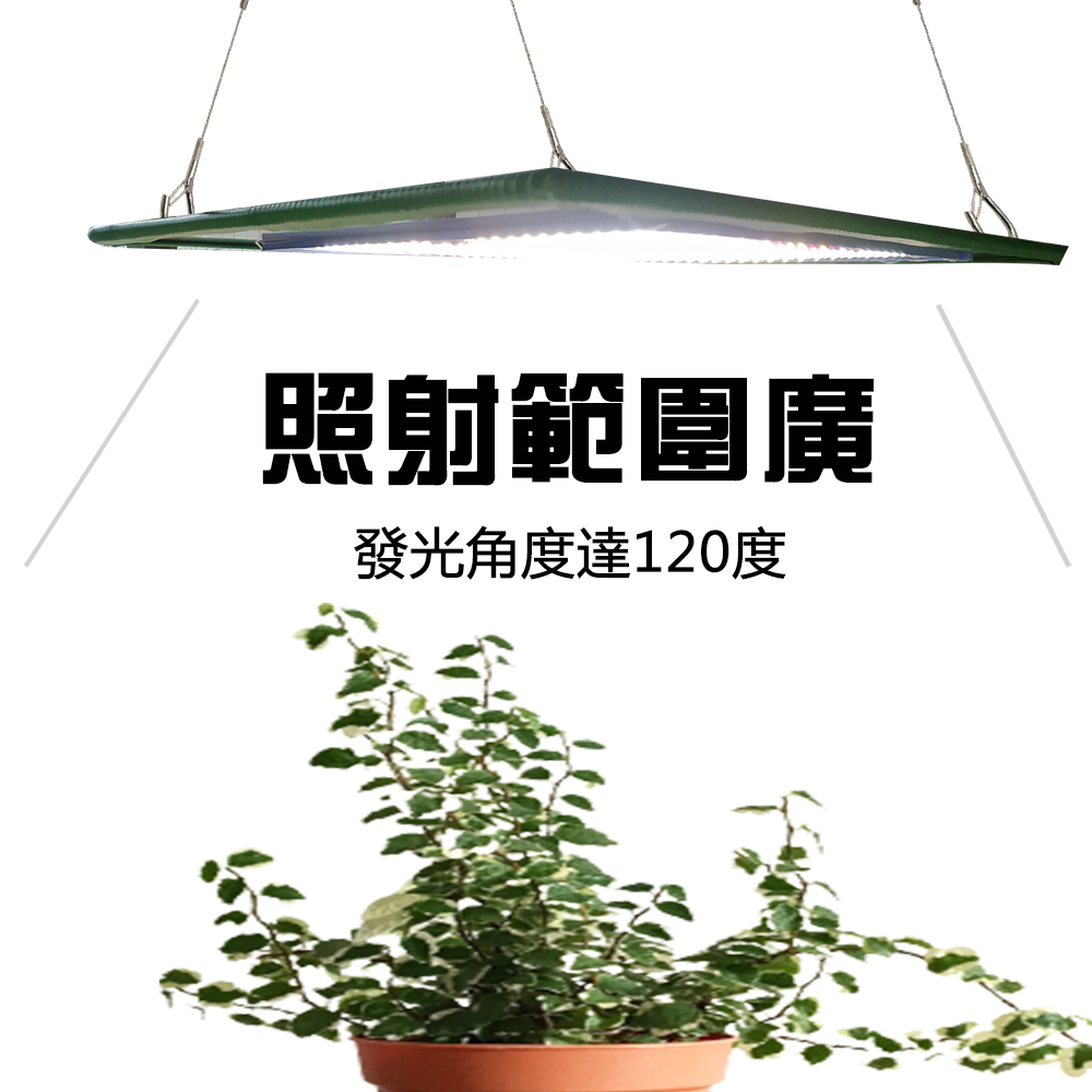 Jiunpey 君沛 燈板系列150瓦吊掛式莖葉加強光譜植物燈植物成長專用燈 植物生長燈 Momo購物網