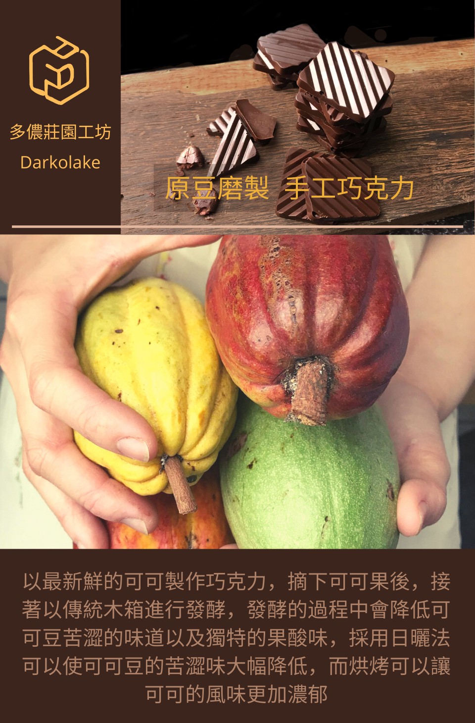 以最新鮮的可可製作巧克力,摘下可可果後,接