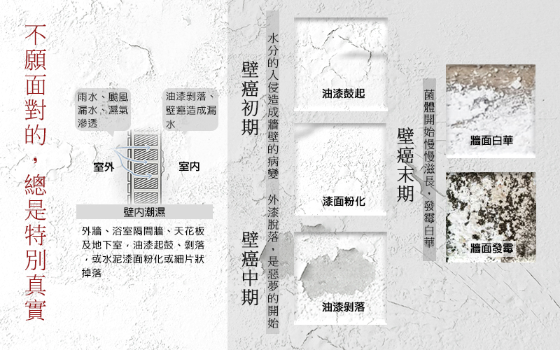 Spray Sealer 壁癌醫生 壁癌修補防水組 壁癌防水修補膏油漆 推薦網 住宅改造家