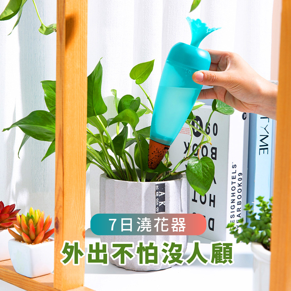 園藝用品 胡蘿蔔創意型澆花器3入組 家用懶人澆花器小型滴水器盆栽自動澆水器自動滴水器 Momo購物網