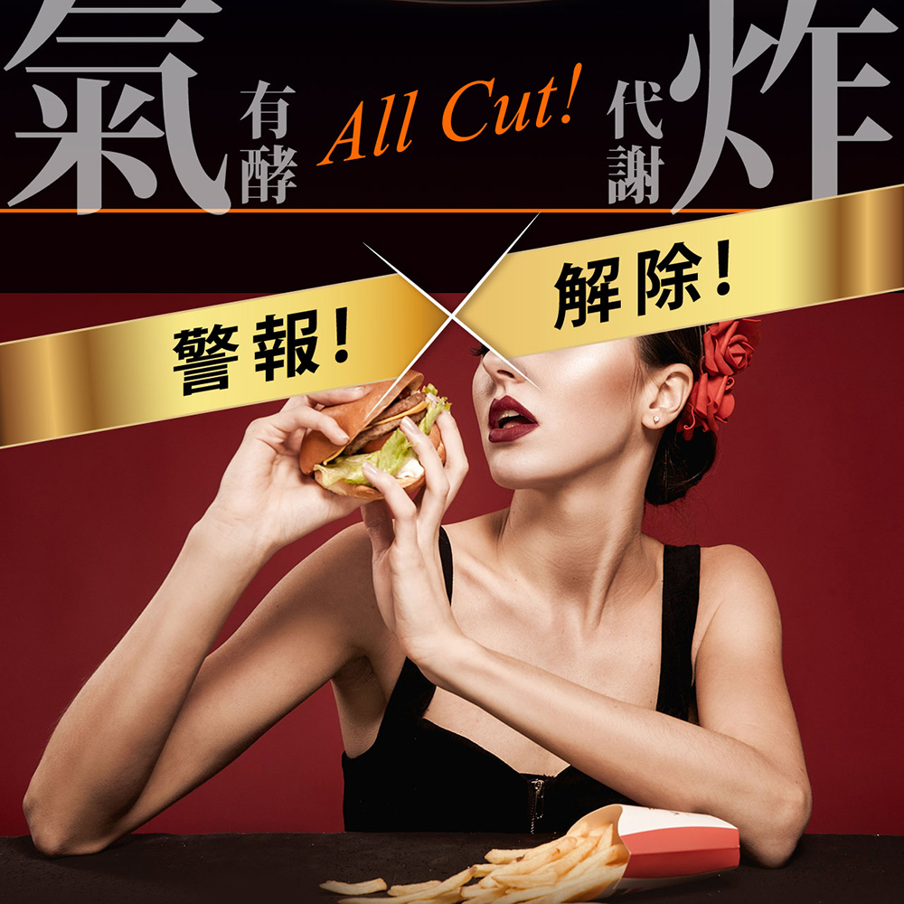 有 All Cut fe 警報 解除 