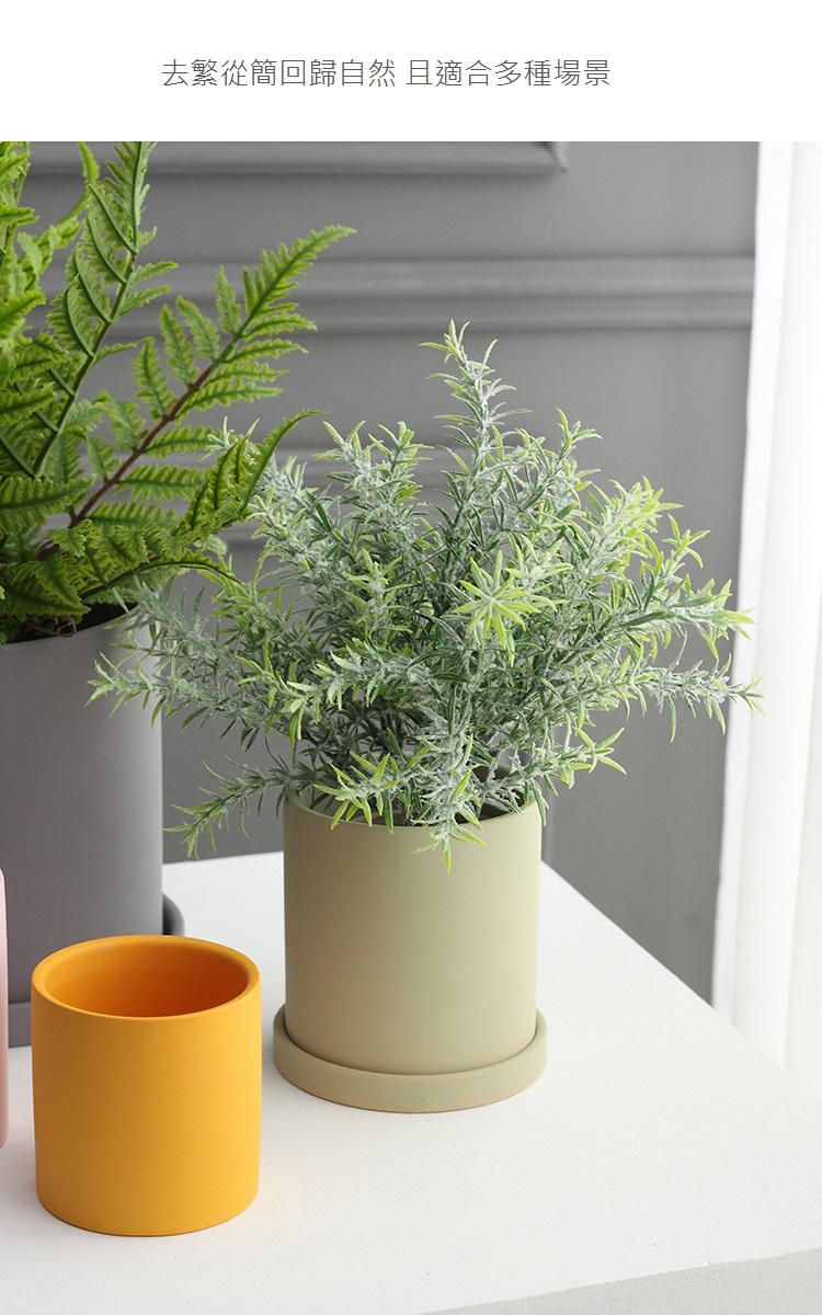 Koti 日安生活 莫蘭迪色陶瓷花盆圓筒形附底盤 盆栽 花槽 18cm 有底孔透氣排水好 Momo購物網