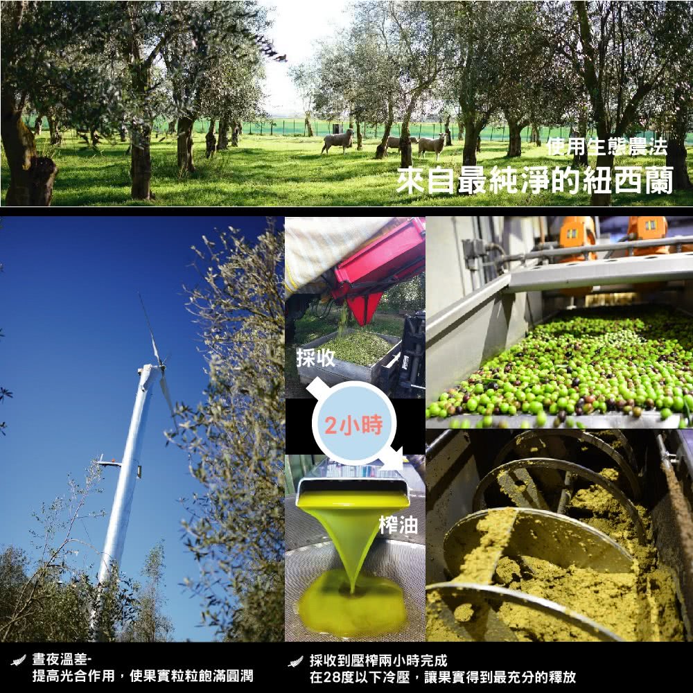 在28度以下冷壓,讓果實得到最充分的釋放