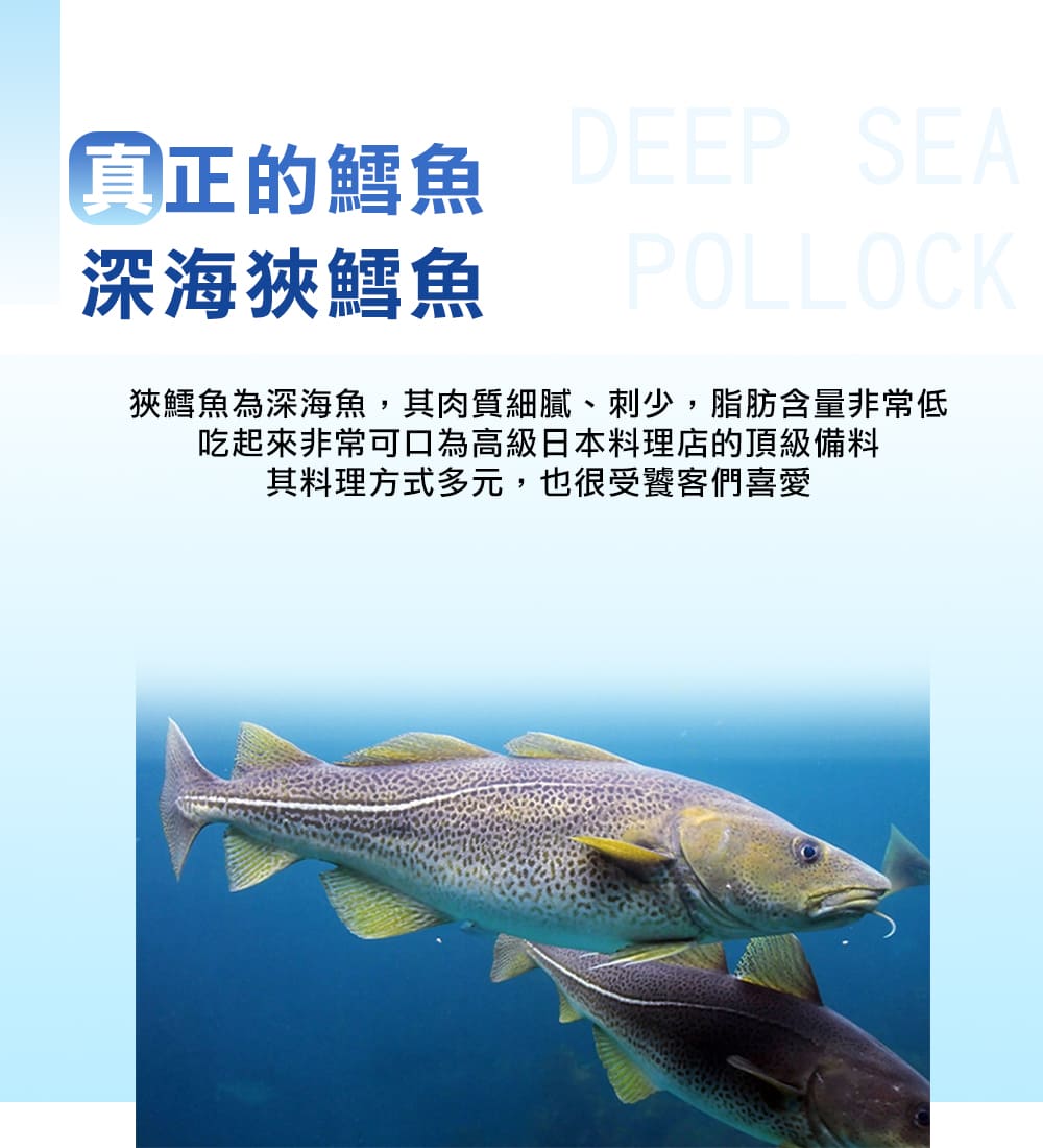 狹鱈魚為深海魚,其肉質細膩、刺少,脂肪含量非常低 吃起來非常可口為高級日本料理店的頂級備料 其料理方式多元,也很受饕客們喜愛 真正的鱈魚 深海狹鱈魚 