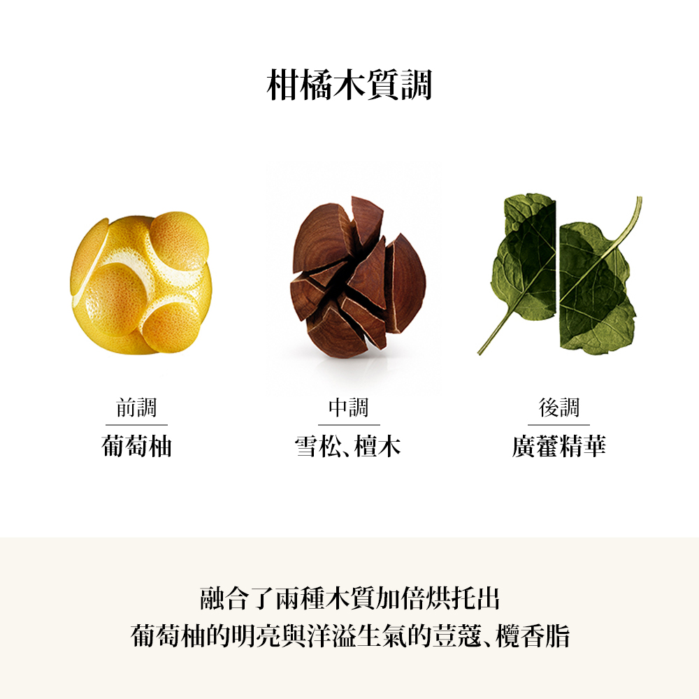 葡萄柚的明亮與洋溢生氣的荳蔻、欖香脂