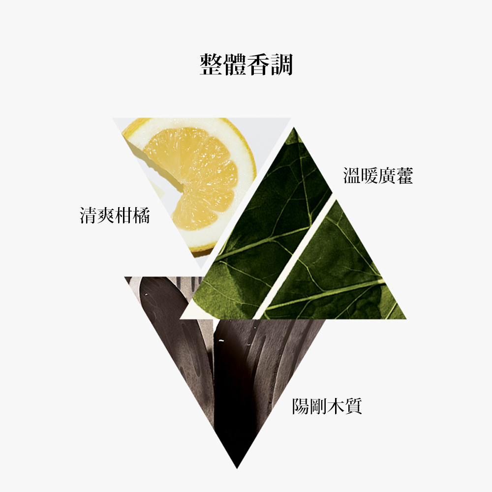 整體香調 溫暖廣藿 清爽柑橘 陽剛木質 
