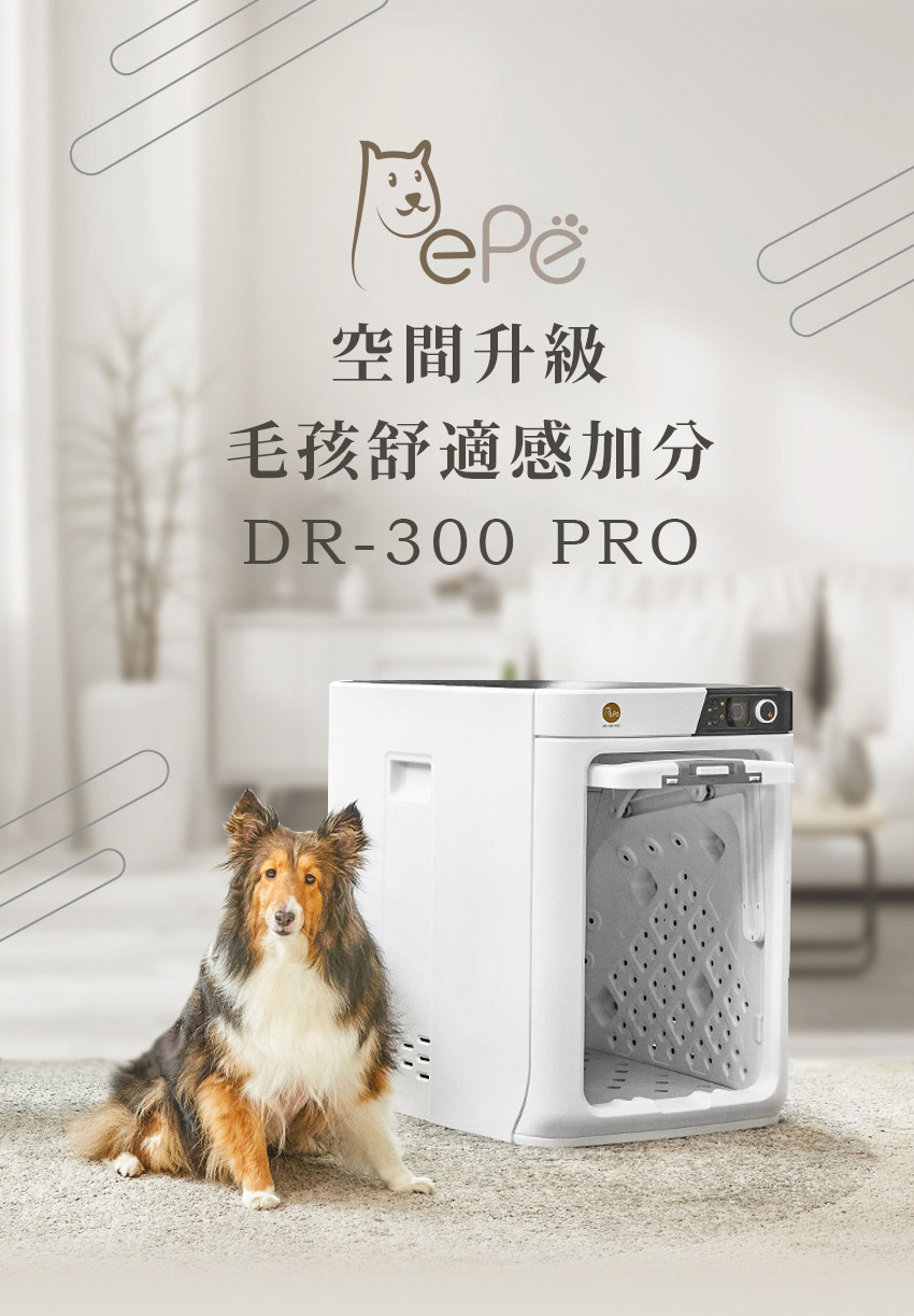 空間升級 毛孩舒適感加分 