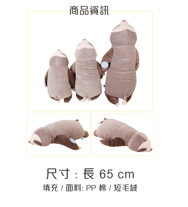 ååè³è¨ å°ºå¯¸é·65 cm å¡«åé¢æ PPæ£ç­æ¯çµ¨ 