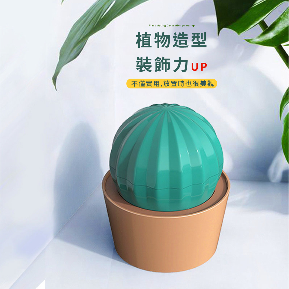 æ¤ç©é å è£é£¾åUP ä¸åå¯¦ç¨,æ¾ç½®æä¹å¾ç¾è§ 