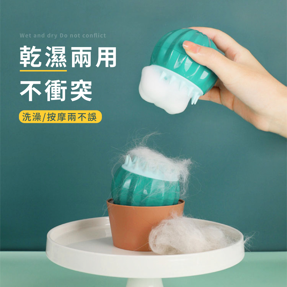 ä¹¾æ¿å©ç¨ ä¸è¡çª æ´æ¾¡ææ©å©ä¸èª¤ 