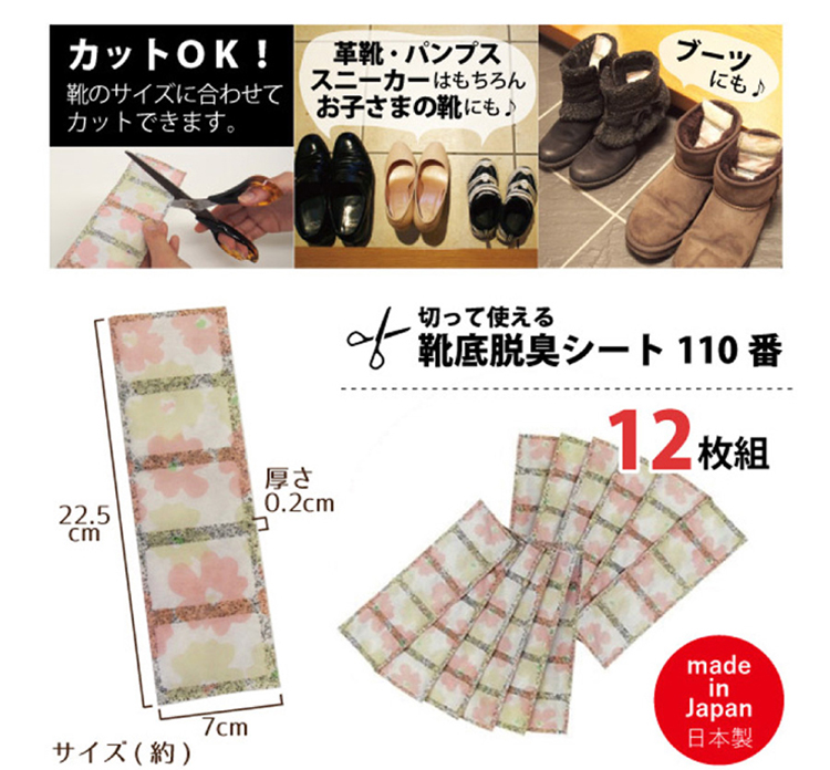 FUJIPACKS】日本製鞋底除臭片12枚入(5片/枚) - momo購物網