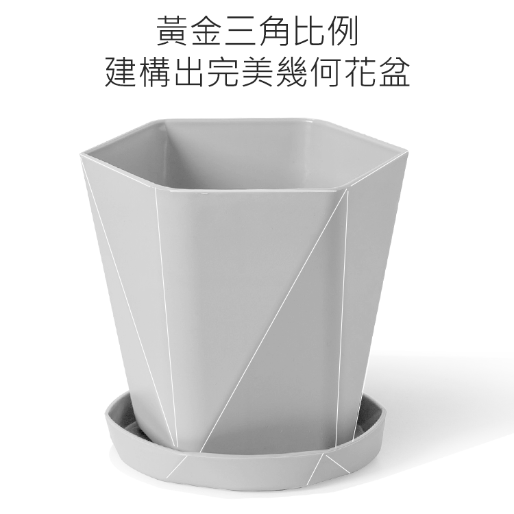 é»éä¸è§æ¯ä¾ å»ºæ§åºå®ç¾å¹¾ä½è±ç 