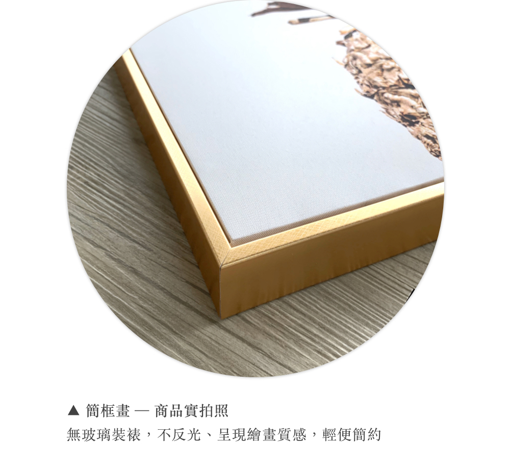 簡框畫一商品實拍照 無玻璃裝裱,不反光、呈現繪畫質感,輕便簡約 