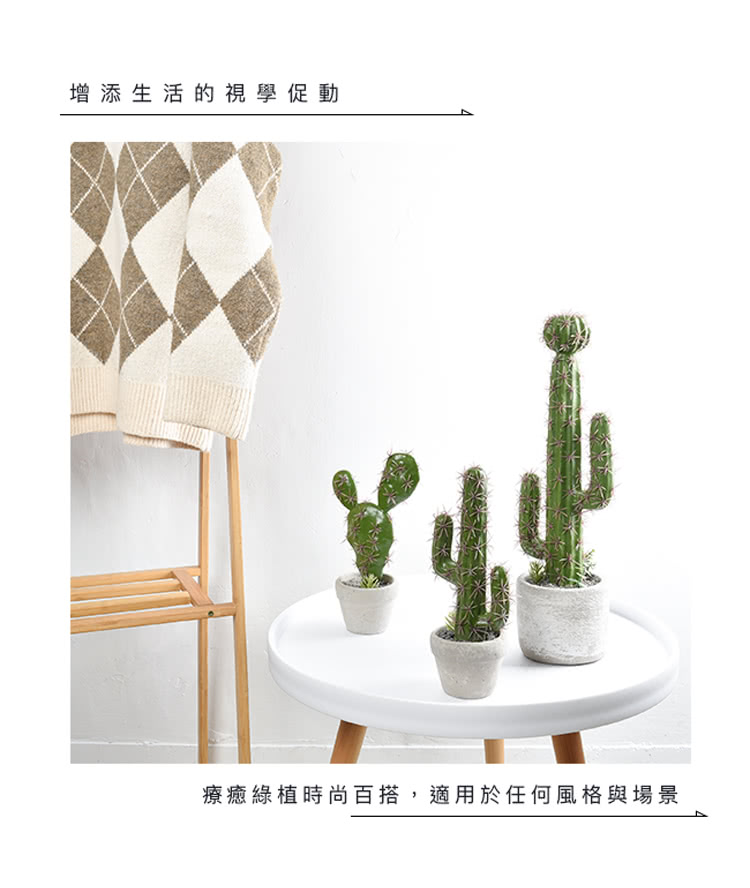 增添生活的視學促動 療癒綠植時尚百搭,適用於任何風格與場景 