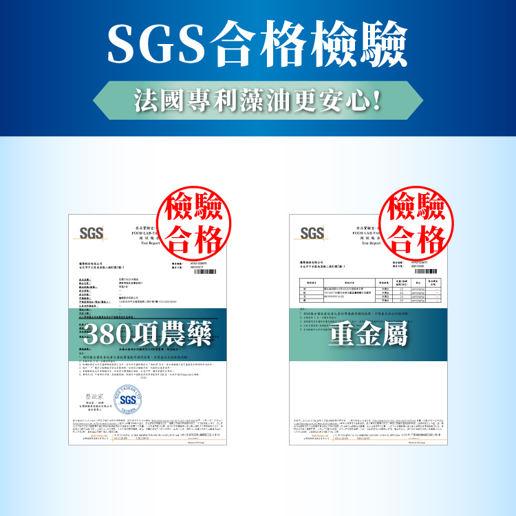 達摩本草 法國53 Dha植物藻油x1盒 60顆 盒 國際專利 高濃度 Momo購物網 雙11優惠推薦 22年11月