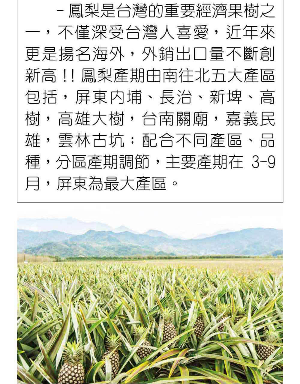 盛花園蔬果屏東頂級金鑽鳳梨1.5kg/支x6支(現採直送) - momo購物網