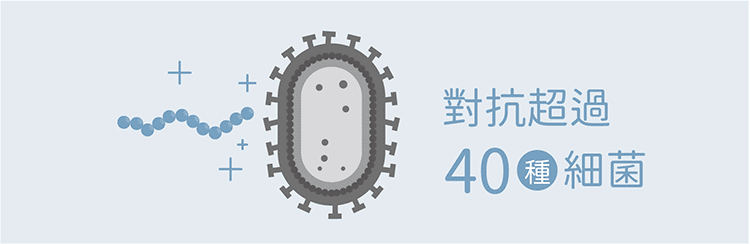 對抗超過 40種細菌 