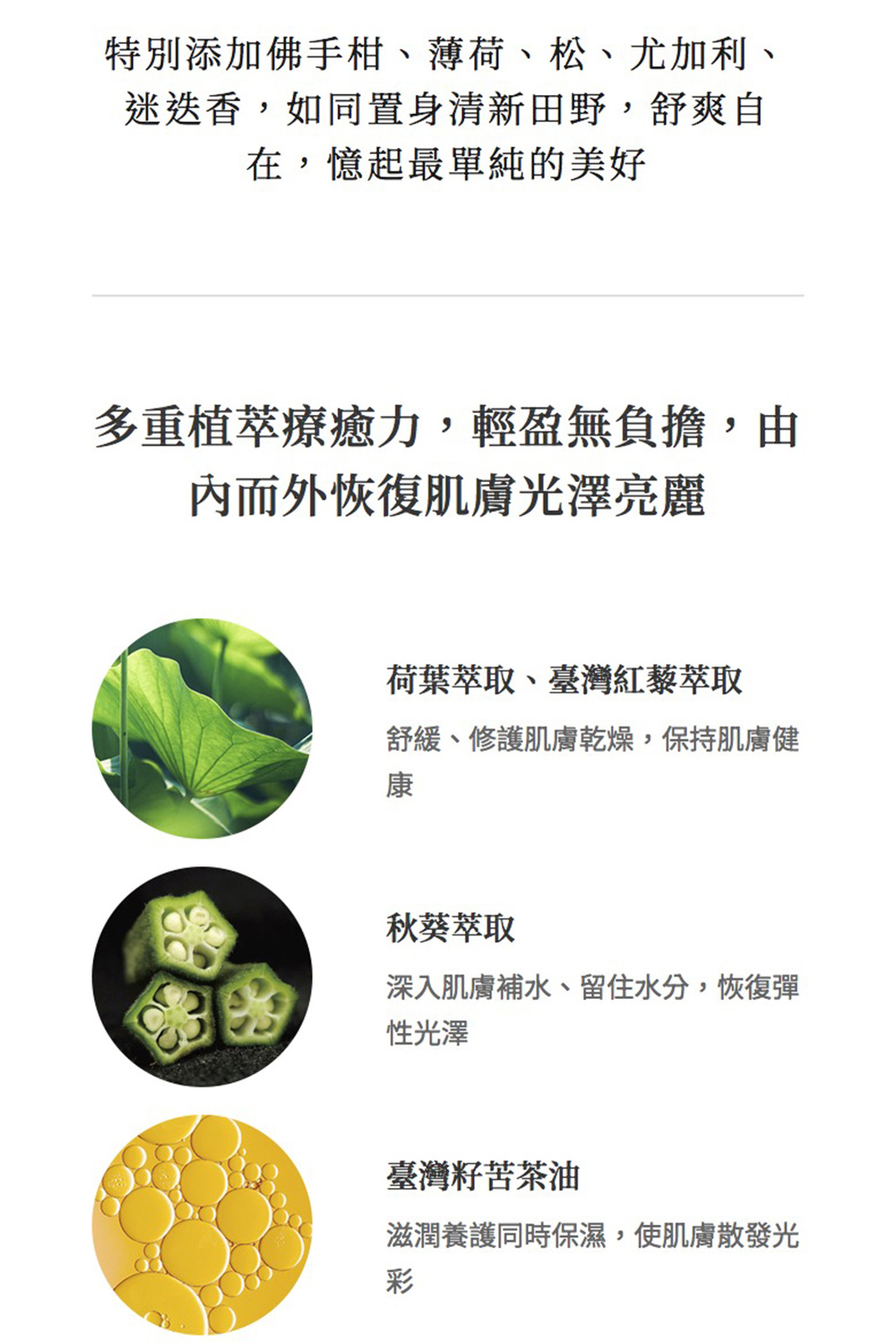 特別添加佛手柑、薄荷、松、尤加利、