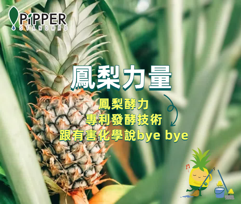 鳳梨力量 鳳梨酵力 專利發酵技術 跟有害化學說bye bye 