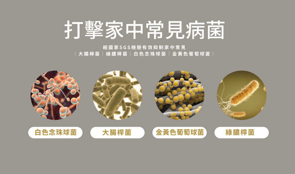 大腸桿菌綠膿桿茵 白色念珠球菌  金黄色葡萄球菌