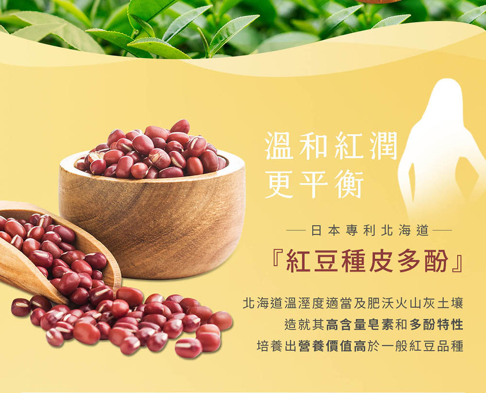 北海道溫溼度適當及肥沃火山灰土壤