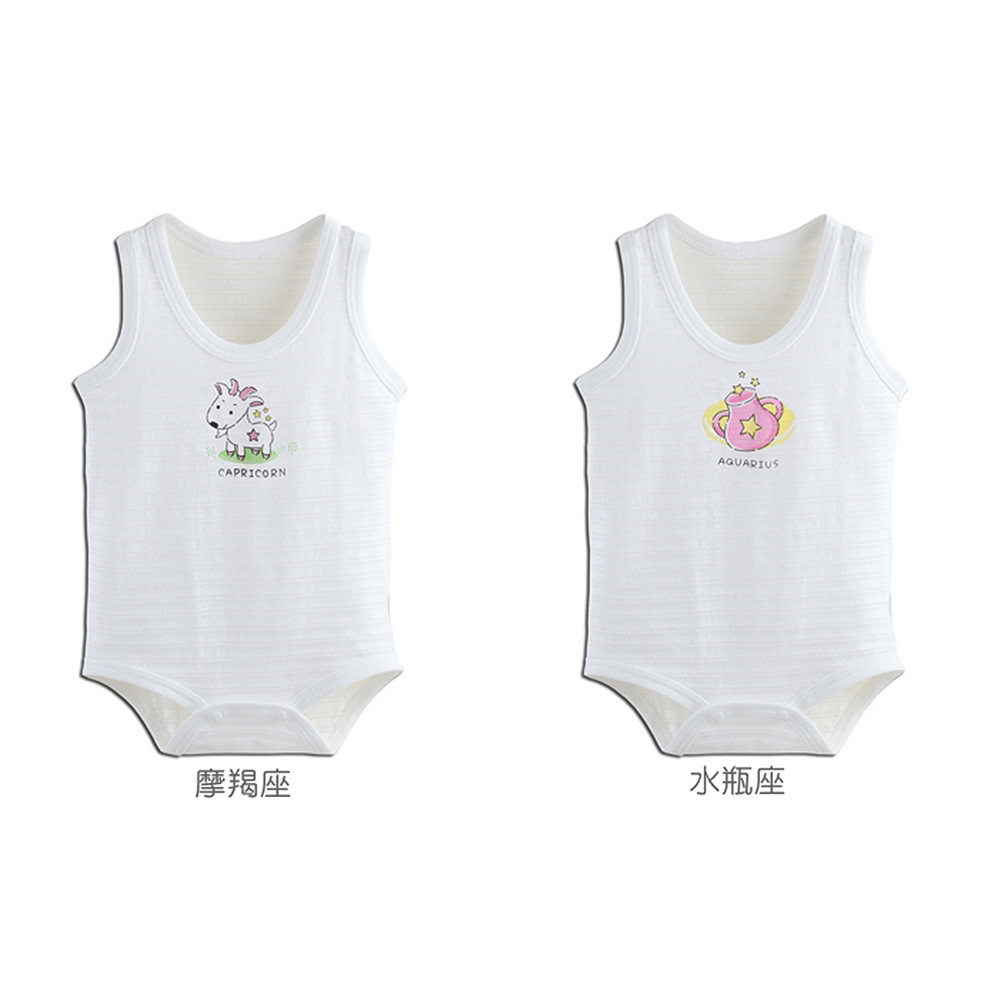 摩羯座 水瓶座 