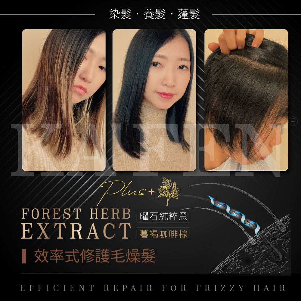 染髮養髮蓬髮 FOREST HERB 曜石純粹黑 EXTRACT 暮褐咖啡棕 效率式修護毛燥髮 