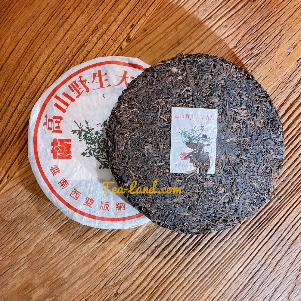 高山野生大葉青雲南西雙版納