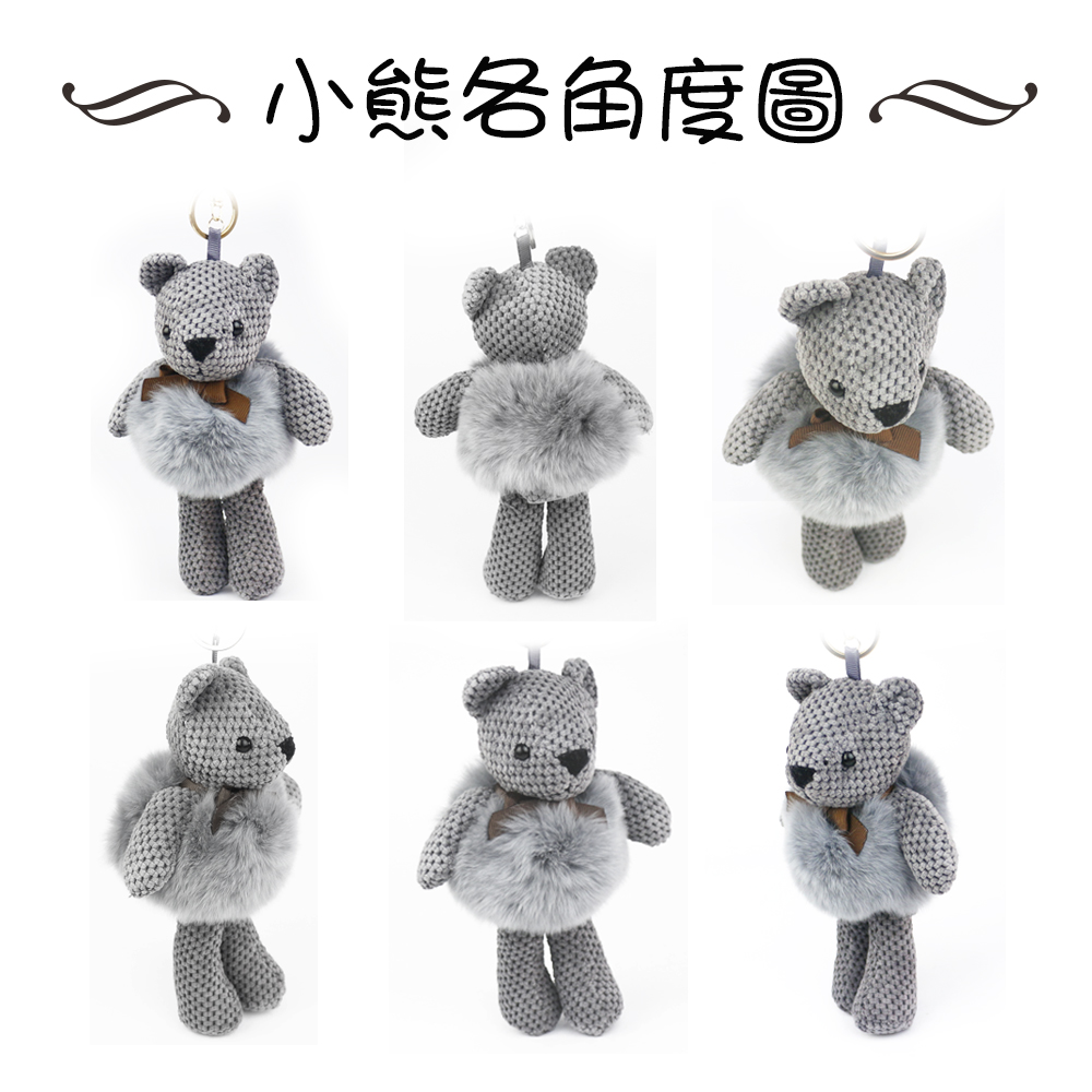 小熊各角度圖 