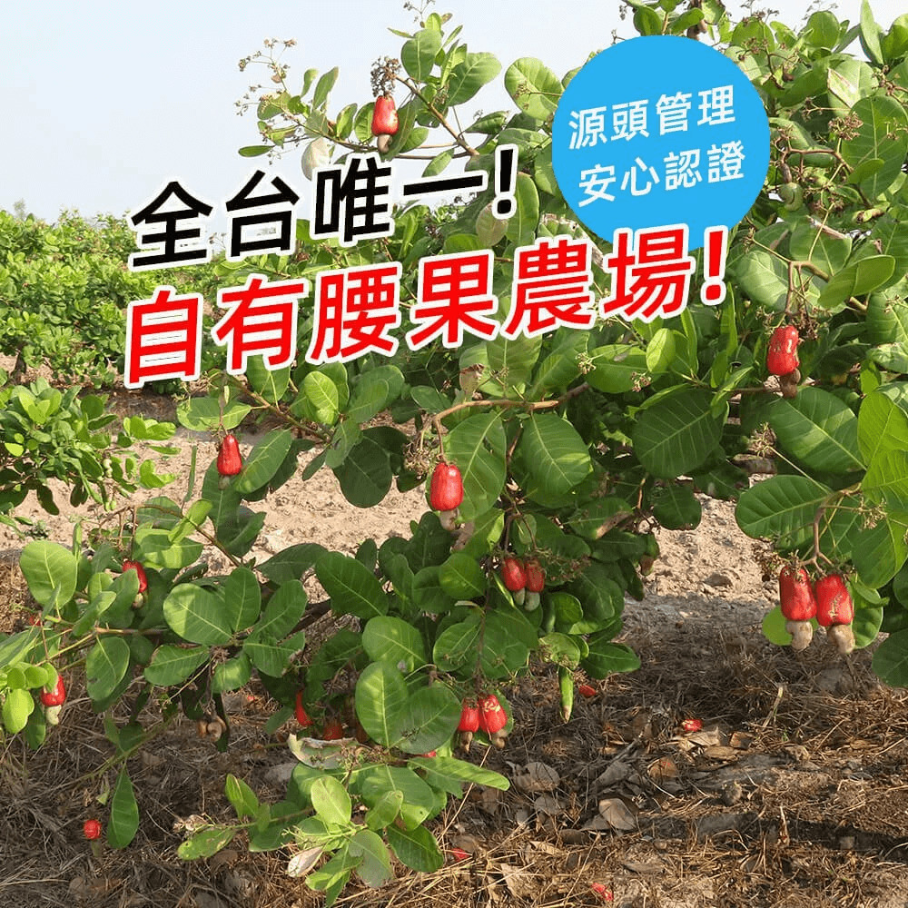 æºé ­ç®¡ç å®å¿èªè­ å¨å°å¯ä¸ èªæè°æè¾²å ´ã 