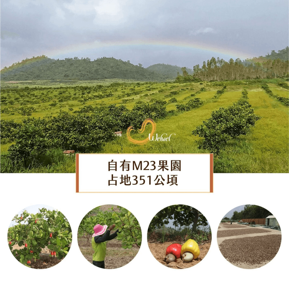 èªæM23æå å å°351å¬é  