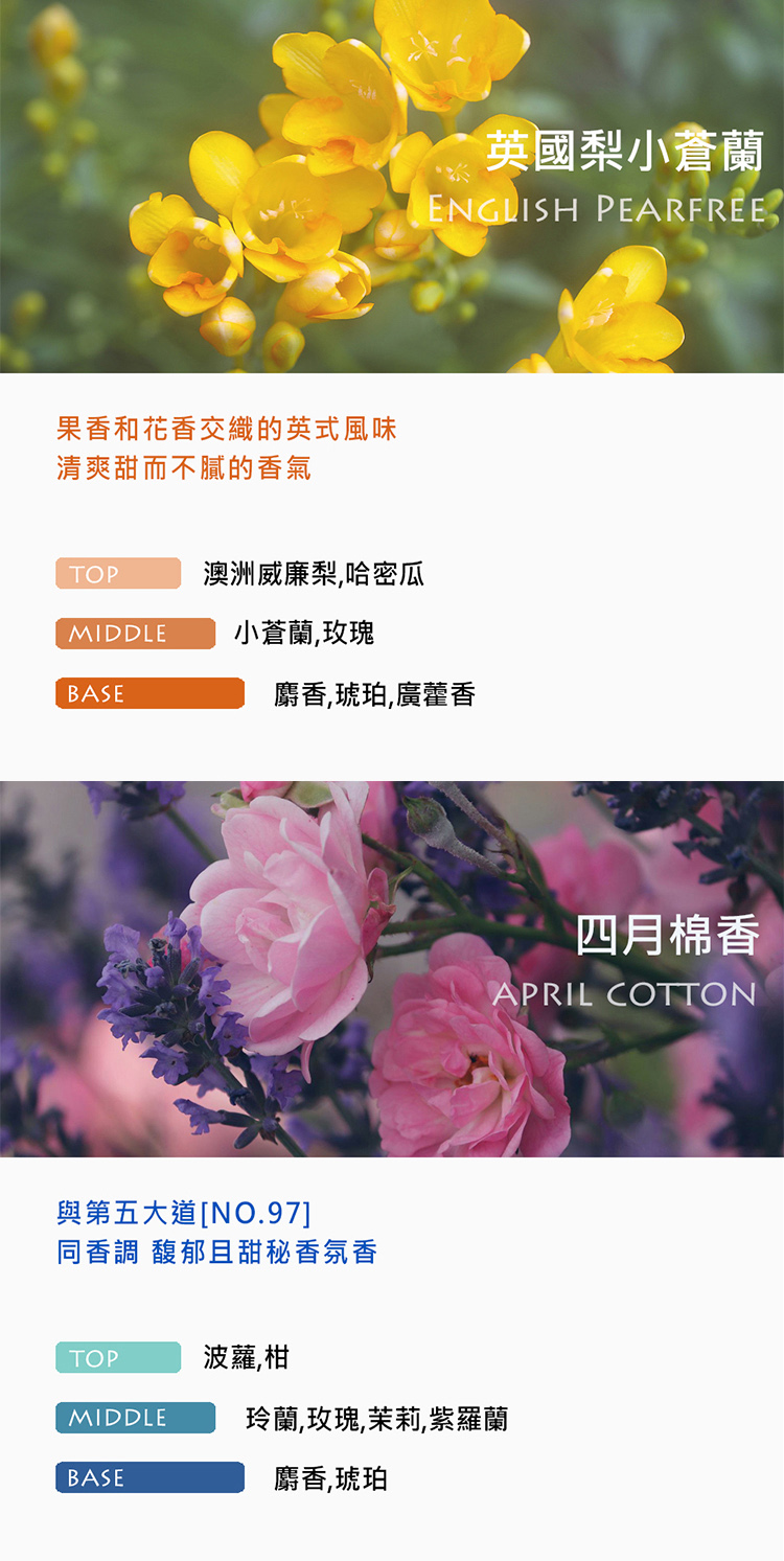 MIDDLE 小蒼蘭,玫瑰