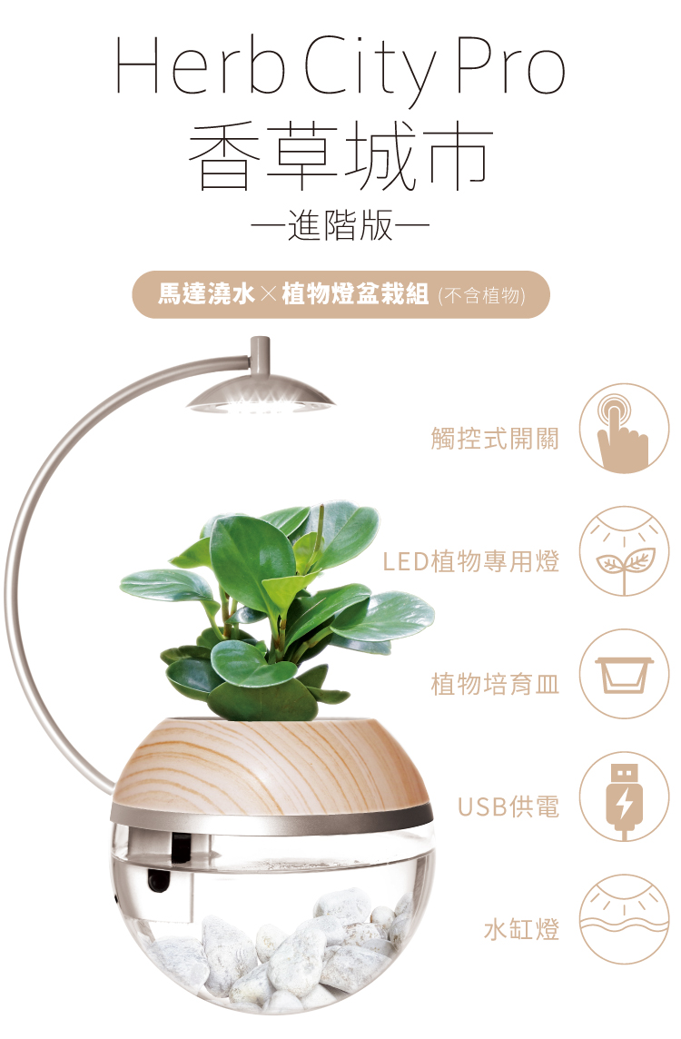 馬達澆水植物燈盆栽組 不含植物