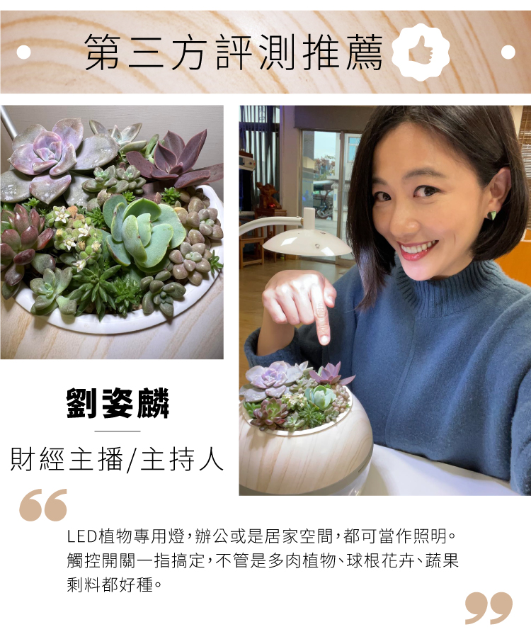 LED植物專用燈,辦公或是居家空間,都可當作照明。