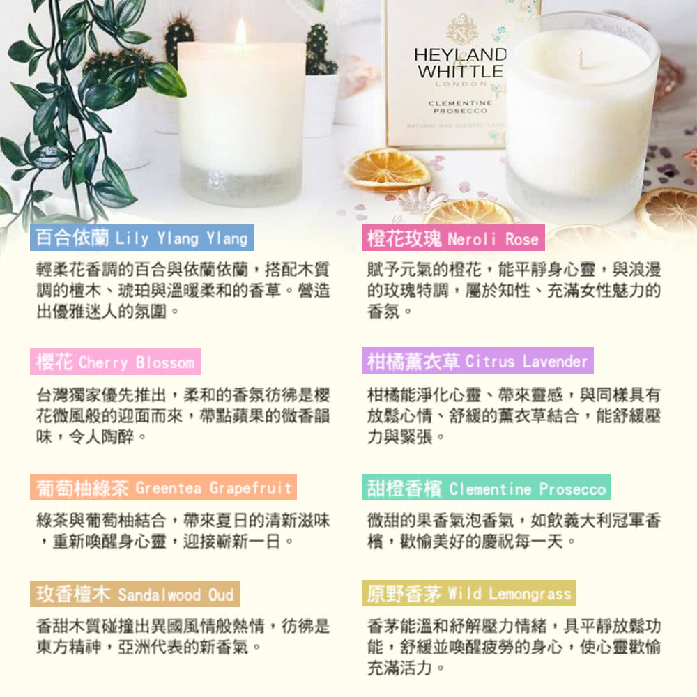 葡萄柚綠茶Greentea Grapefruit