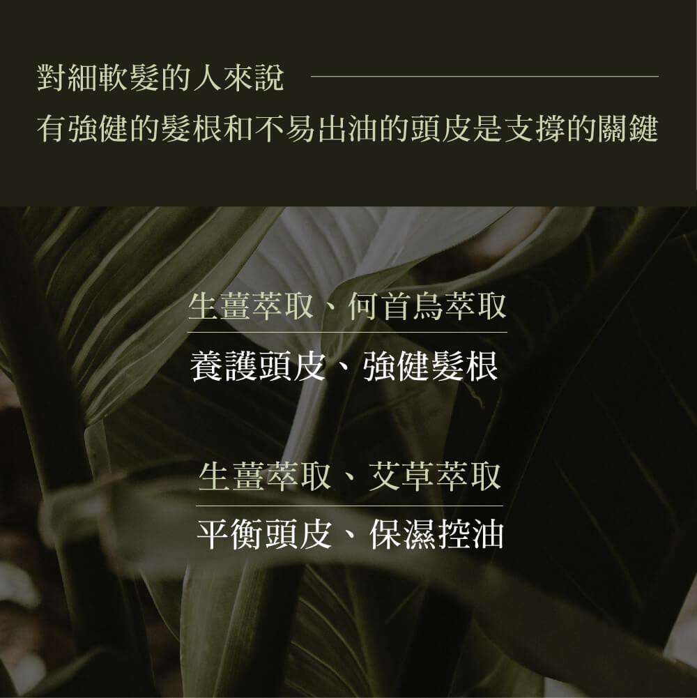 有強健的髮根和不易出油的頭皮是支撐的關鍵