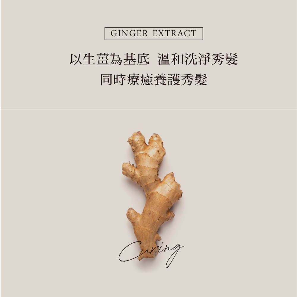 以生薑為基底 溫和洗淨秀髮 同時療癒養護秀髮 