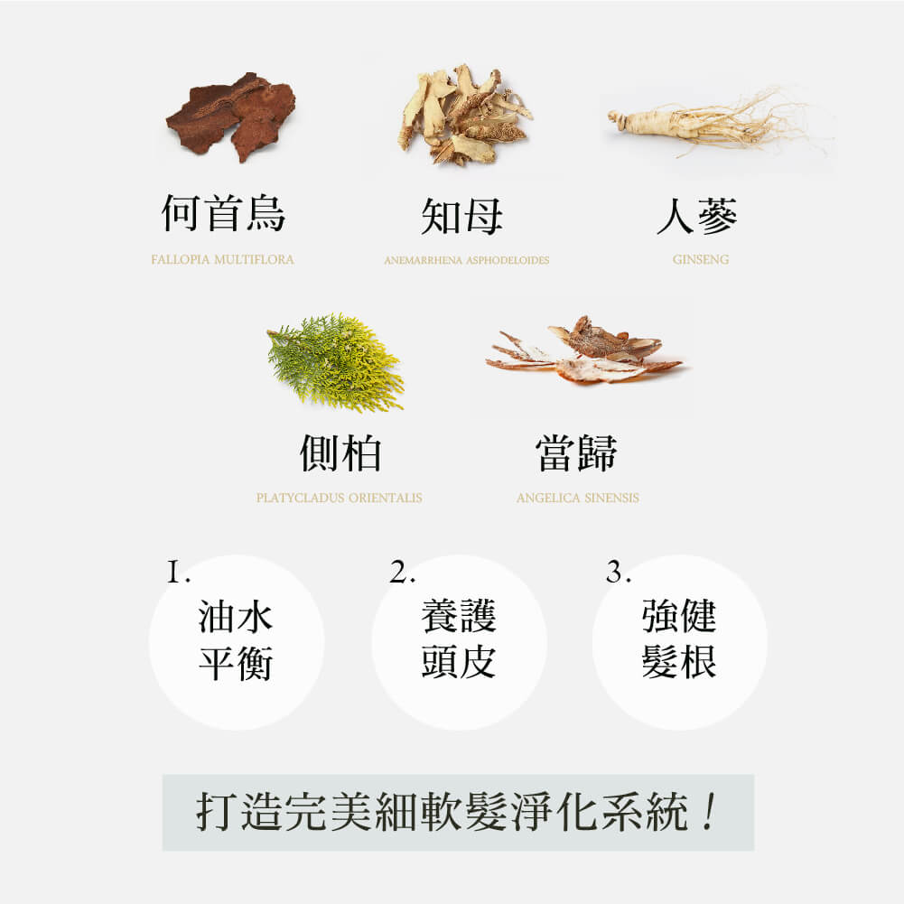 打造完美細軟髮淨化系統