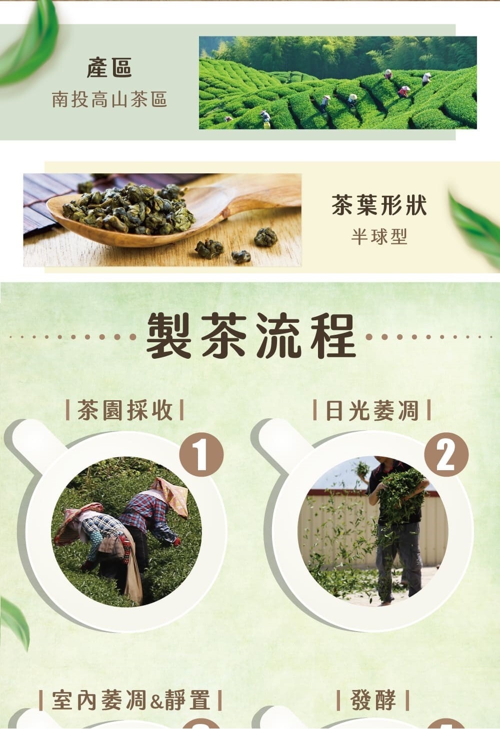 南投高山茶區