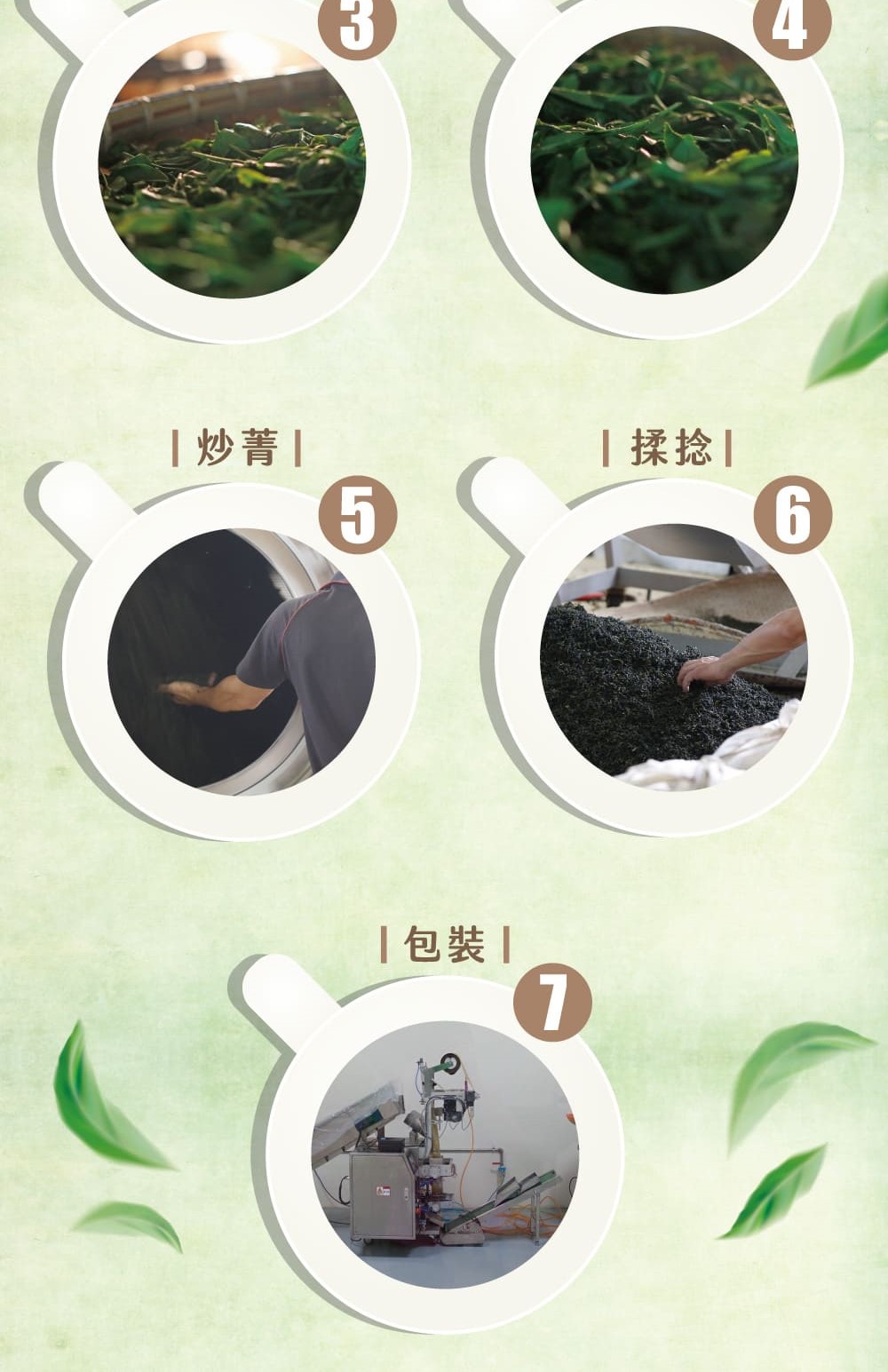 炒菁 包裝 揉捻 