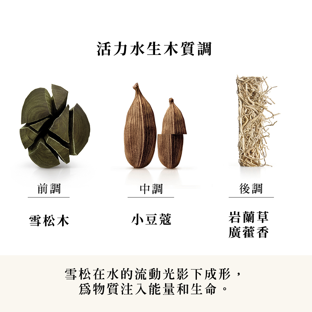 雪松在水的流動光影下成形,