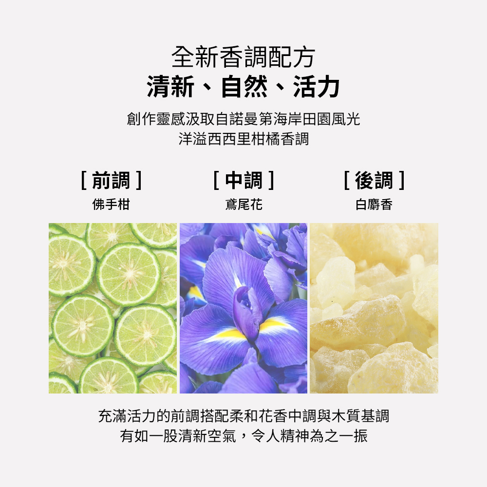 充滿活力的前調搭配柔和花香中調與木質基調