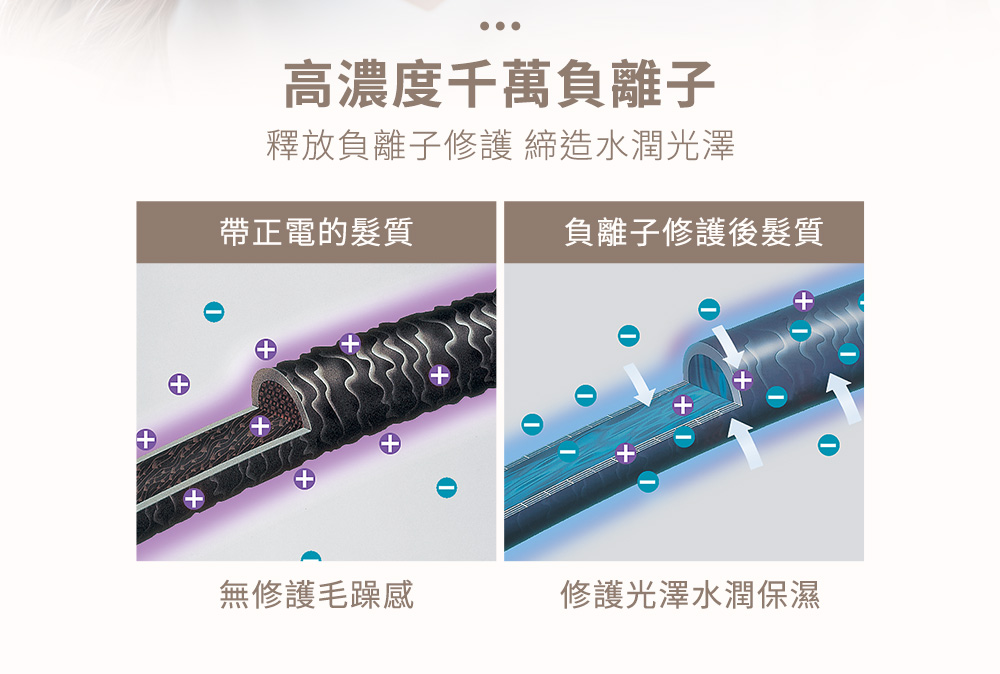 釋放負離子修護 締造水潤光澤
