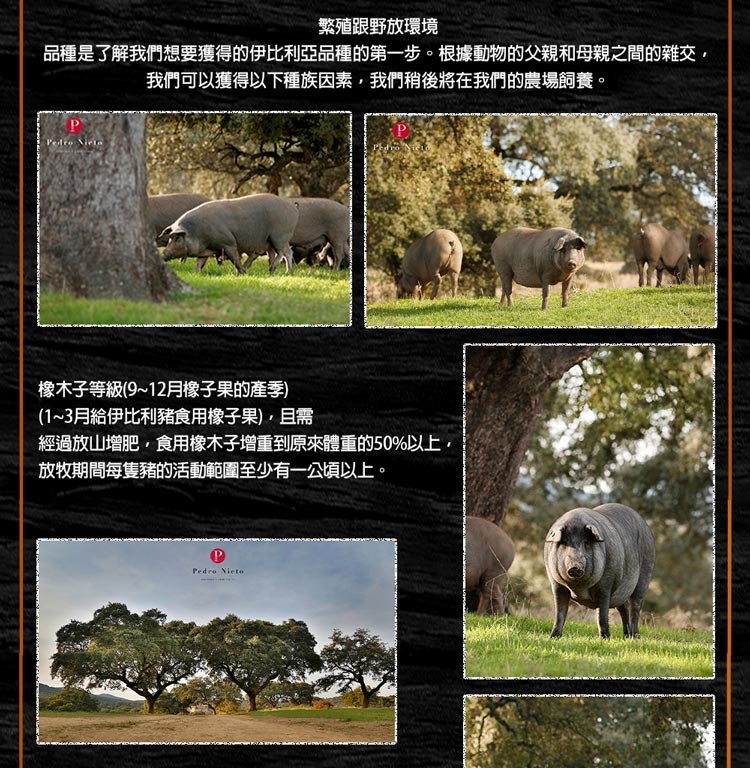品種是了解我們想要獲得的伊比利亞品種的第一步。根據動物的父親和母親之間的雜交,
