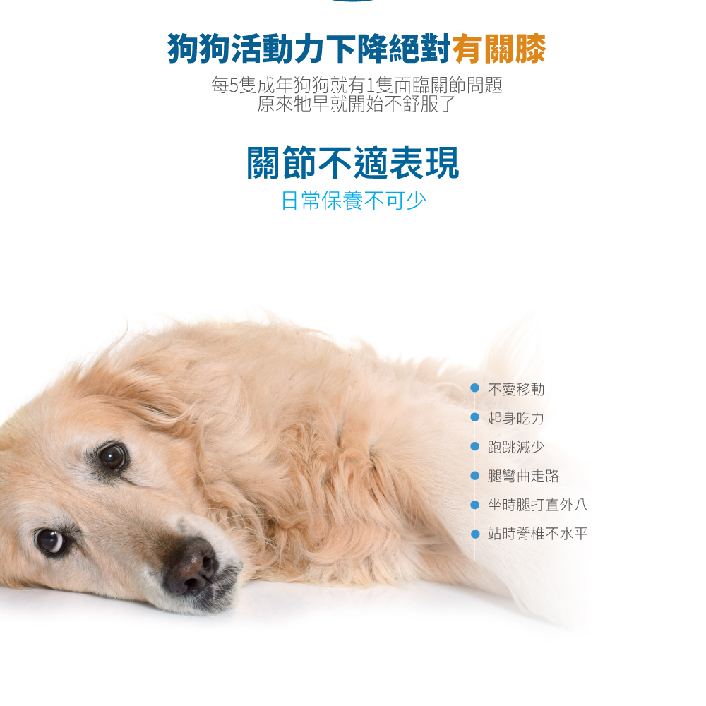 每5隻成年狗狗就有1隻面臨關節問題