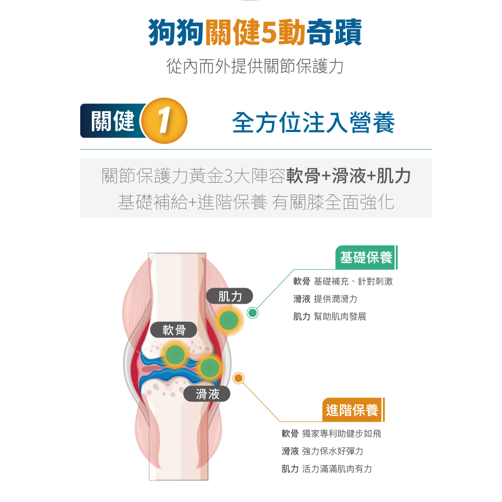關節保護力黃金3大陣容軟骨滑液肌力