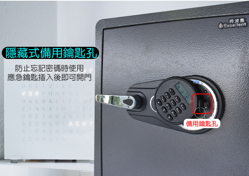 Excellent阿波羅 600ALP - 詳情9