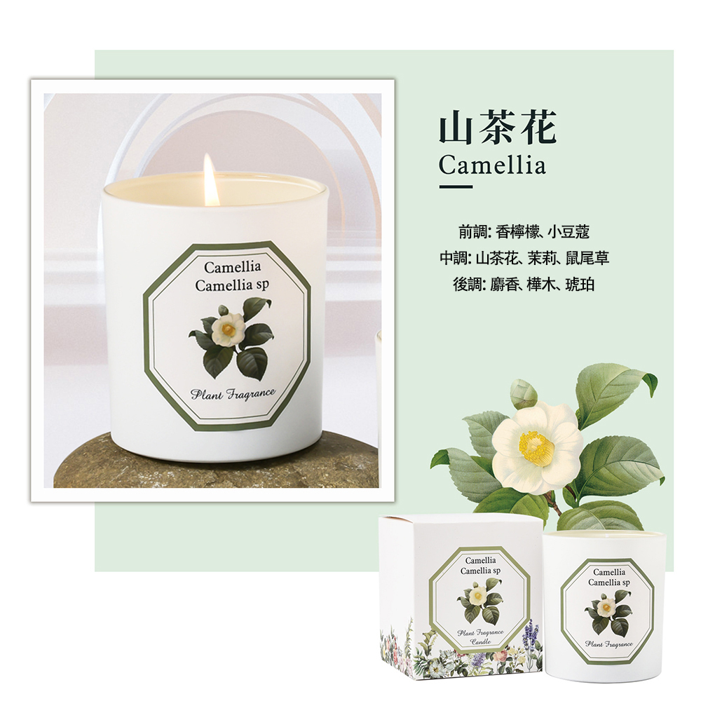山茶花 前調香檸檬、小豆蔻 中調山茶花、茉莉、鼠尾草 後調麝香、樺木、琥珀 