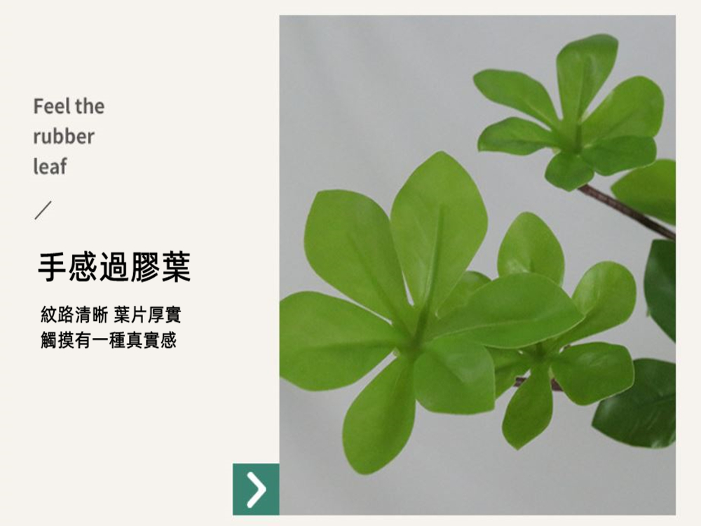 手感過膠葉 紋路清晰 葉片厚實 觸摸有一種真實感 